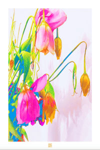 SLEEPYTIME FLOWERS #1(36X24)