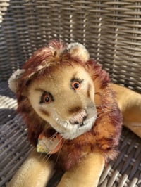 Image 1 of Leo - Steiff Original Lion