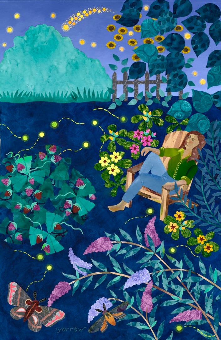 Image of Summer Night