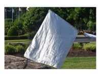 Image 1 of Silver Large Flag 