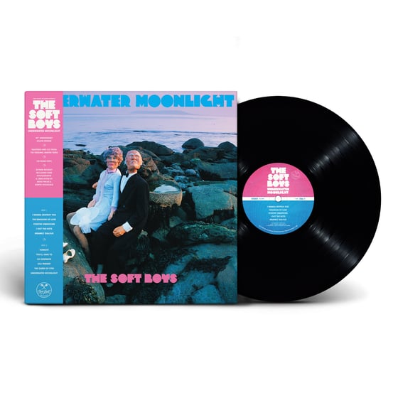 Image of THE SOFT BOYS - UNDERWATER MOONLIGHT (45th ANNIVERSARY REMASTER) 12" VINYL PREMIUM BLACK PRE-ORDER