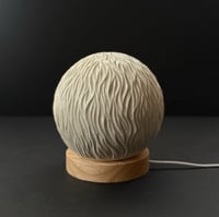 Image 2 of 540 Porcelain Orb Light FIRE (second)