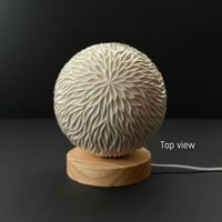 Image 3 of 540 Porcelain Orb Light FIRE (second)