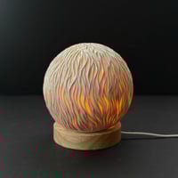 Image 4 of 540 Porcelain Orb Light FIRE (second)