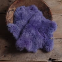 purple rabbit fur