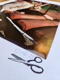 Image 3 of Sweet Chariot 
