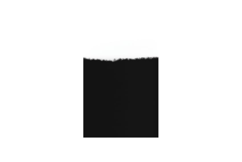 Image of The line of water - Sara Palmieri