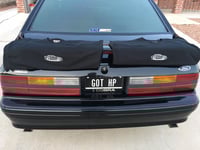 Image 12 of '65-'66 Fastback Mustang T-Shirts Hoodies and Banners