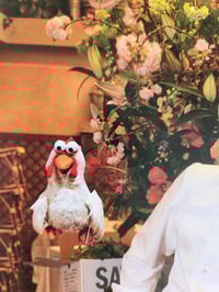 Image 4 of kitchen Confidential 