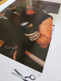 Image 2 of The Champ