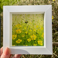 Image 5 of "Buttercups"