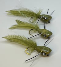 Image 2 of Bass Poppers