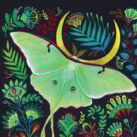 Image 3 of Constellation