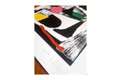 Image of 'Ray' A2 Screen Print