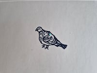 Image 2 of 'In Praise of the Common Pigeon' - navy 