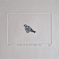 Image 1 of 'In Praise of the Common Pigeon' - navy 