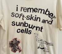 Image 2 of sunburnt cells