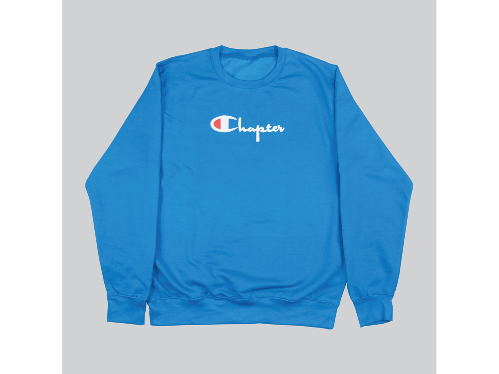 Image of 'NEW' CHAPION CREW NECK SWEATHSIRT (ADULT SIZES)