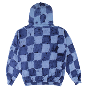 Image of blue checker hoodie