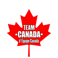 Image 3 of Team Canada- Nasty Northern Neighbour Tee
