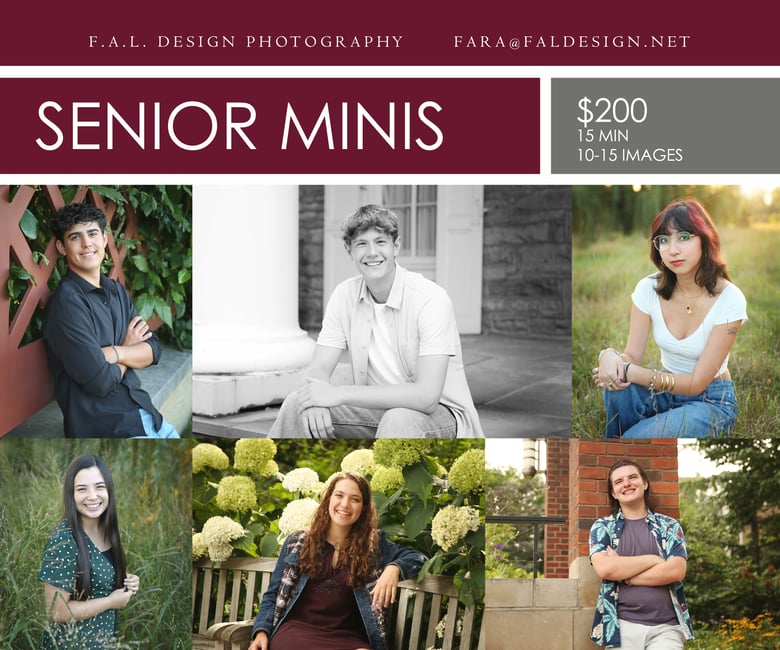 Image of Senior Minis