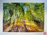 Wompatuck Mid Autumn