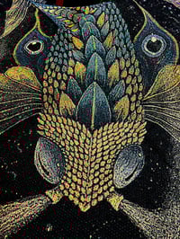 Image 15 of NEW! • PLANKTONAUTS v5 • CUSTOM TAPESTRY • 62 x 62 Inches! 