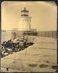 Bug Light 1