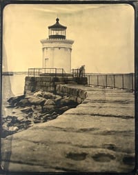 Bug Light 2