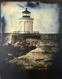 Bug Light 3