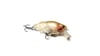 GORON 70 (RATTLE)
