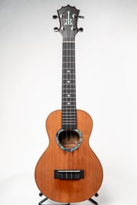 Image 1 of Shop Order KoAloha KCMR-00 Curly Claro Walnut & Cedar Satin Rosette Concert