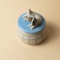 Image 3 of Klaus Box 🐶