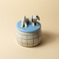 Image 1 of Klaus Box 🐶
