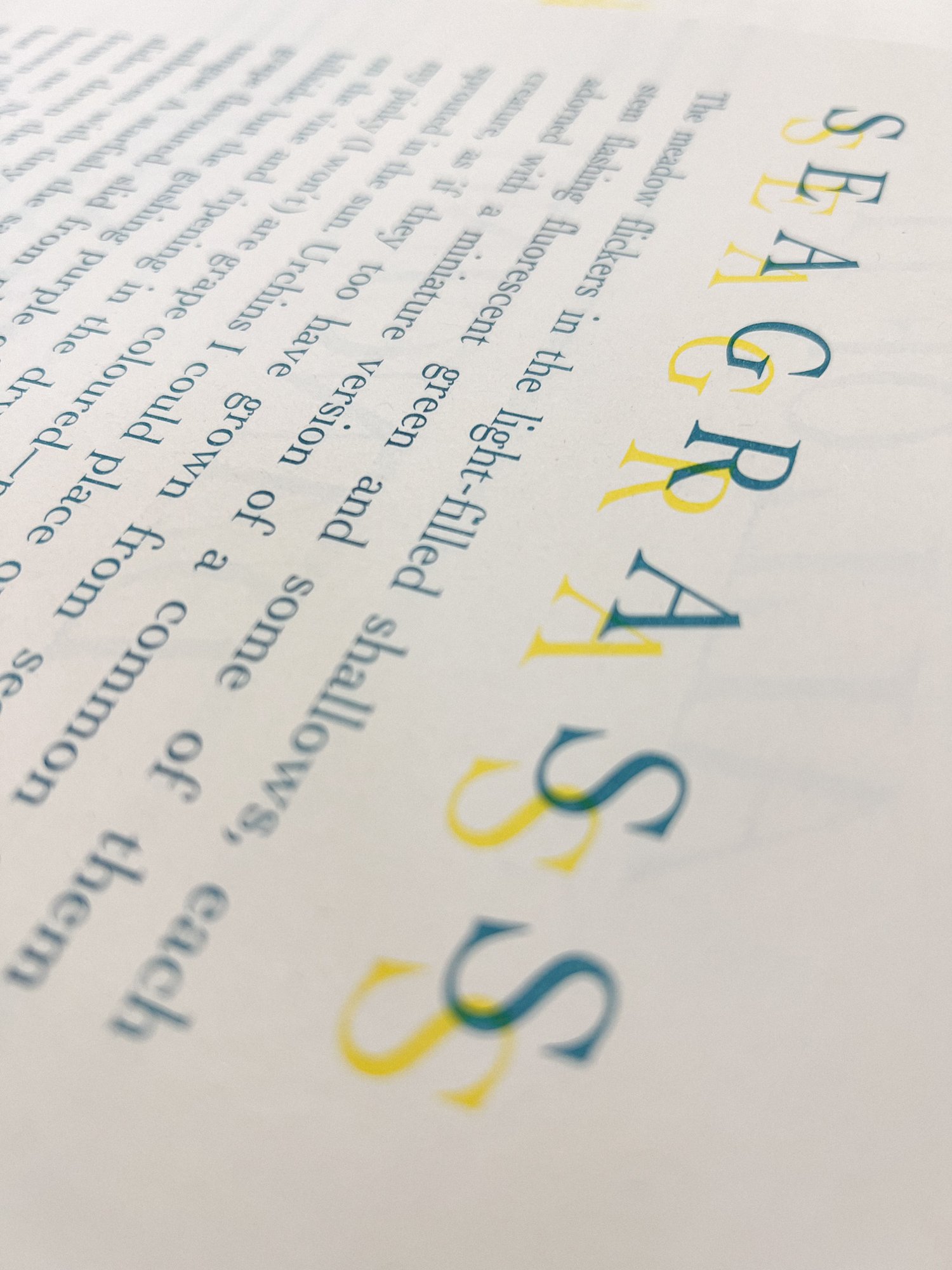 Image of Seagrass Riso Print