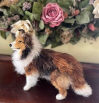 Image 1 of  9" Standing Sheltie/sable,tri or blue merle