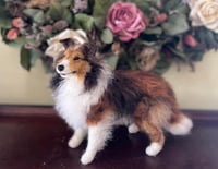 Image 5 of  9" Standing Sheltie/sable,tri or blue merle