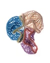 spring net hat