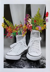 Image 1 of Connect - Nature