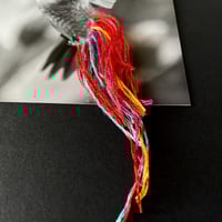 Image 3 of Hummingbird