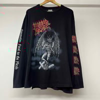 Image 1 of Morbid Angel 'Formulas Fatal To The Flesh' 1998 XL