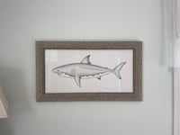 Image 1 of Biggie Great White Shark, 2025 (Print)