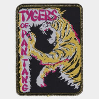 Image 2 of Tygers Of Pan Tang patch