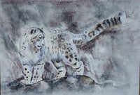 Image 1 of The Guardian (snow leopard)