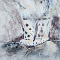 Image 5 of The Guardian (snow leopard)