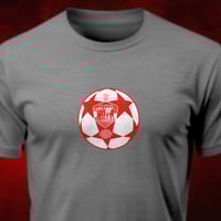 Image 1 of A Liverbird upon my chest