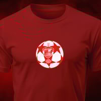 Image 3 of A Liverbird upon my chest
