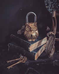 Image 1 of Brass owl padlock