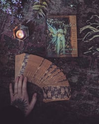 Image 1 of The Faerie oracle