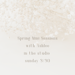 Image of Spring Mini Sessions